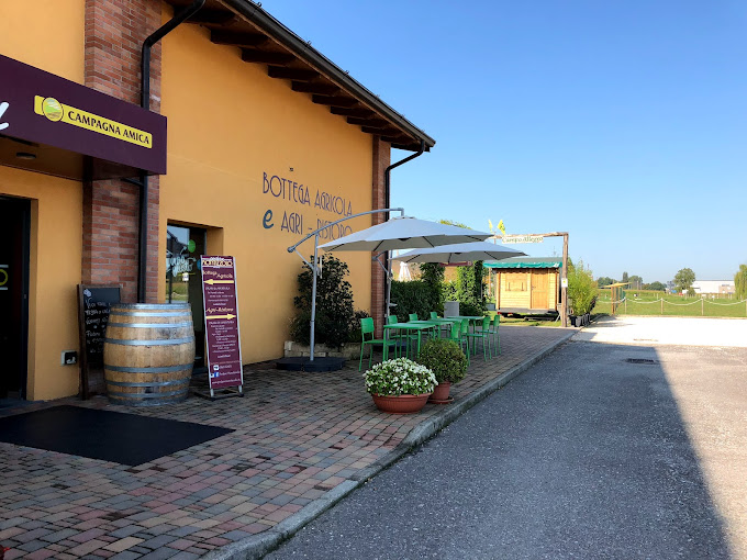 Podere Montizzolo
